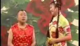 闫学晶潘长江经典二人转《小拜年》下载，东北民歌小调全剧资源下载