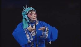 寄子别传
