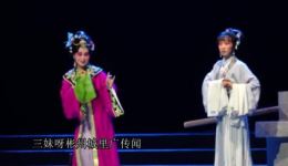 婺剧西安高腔《白兔记》全集下载 - 经典传统戏曲资源在线获取 婺剧西安高腔《白兔记》全集下载 - 经典传统戏曲资源在线获取