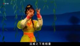 苏六娘