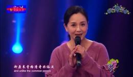 天上掉下个林妹妹