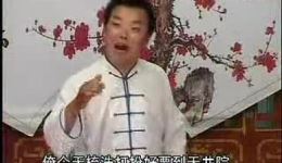罗家将