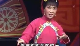 孔素红专辑