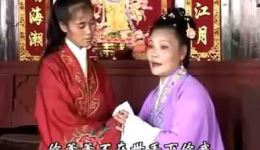 抚州采茶戏《窦娥冤》经典戏曲资源下载，完整传统剧目在线观看