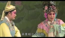 双蝴蝶