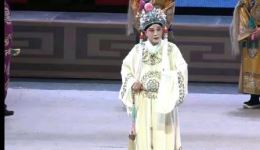 湖南湘剧经典《狸猫换太子盘盒》在线观看下载，宋真宗宫廷秘事，包拯智破冤案，传承经典戏曲魅力