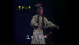 粤剧《武潘安》高清下载容剑平、刘美卿经典演绎，不容错过的戏曲盛宴下载