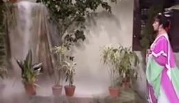 歌仔戏《安安赶鸡》全剧高清视频mp3下载（1979-1998加舞台版）