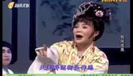 假凤虚凰