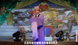 越剧《玉堂春》完整唱词版下载-陶婷花王富仙主演-绍兴市红艺越剧团经典演绎下载