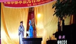 壮剧《蟾蜍定富贵》下载 - 壮族传统戏曲经典剧目资源