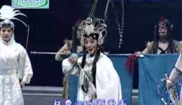 豫剧《孙悟空3打白骨精》金不换徐福先主演 经典神话戏曲在线下载下载