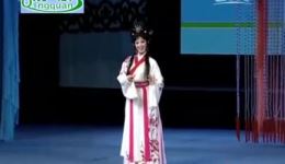 豫剧舞台剧《憨憨公子扳倒爹》金不换徐福先主演，经典反腐大戏在线下载下载