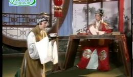 豫剧经典《寻儿记》张宝英主演，母爱寻亲催泪大戏在线下载下载