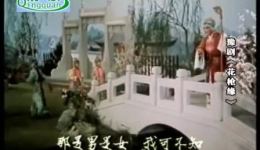 马金凤经典豫剧《花枪缘》全场下载，马派唱腔演绎四十年亲情纠葛下载