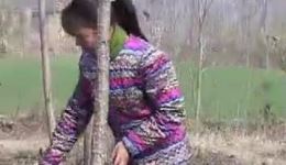 民间小调《儿媳》高清全集下载，家庭伦理戏曲资源一键获取