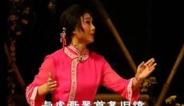 粤剧《野金菊》全剧高清下载 梁淑卿钟康祺欧凯明主演 经典近代粤剧资源下载