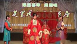 棒打无情郎