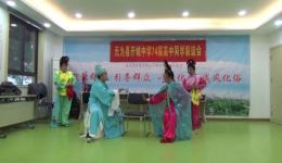庐剧《花园扎枪》高清MP4下载 - 李翠霞姜艳主演抗日题材经典剧目下载