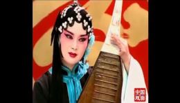 黄梅戏《秦香莲》全集高清下载吴亚玲、刘华等名家演绎经典大戏下载