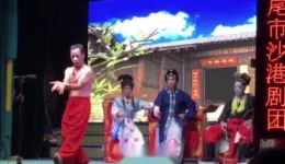 杀杨彪