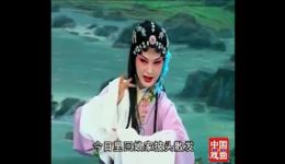 黄梅戏《罗帕记》全剧高清mp4视频下载 黄新德吴亚玲钱涛主演经典剧目下载