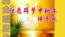 吕剧《逼婚记》选段音频字幕版经典唱段在线收听,感受传统戏曲魅力 吕剧《逼婚记》选段音频字幕版经典唱段在线收听,感受传统戏曲魅力