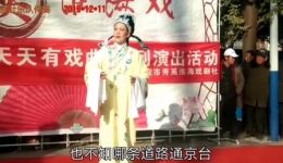 淮海戏《三拜堂》选场mp3下载 周雪芹朱延虎演唱 经典戏曲音频资源