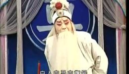 大报仇