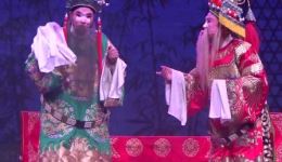 佘赛花