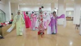 芗剧《玉带紫袍》全剧mp4/mp3下载 - 高清戏曲资源一站式获取