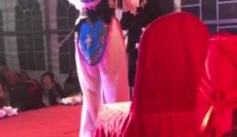 双驸马回朝