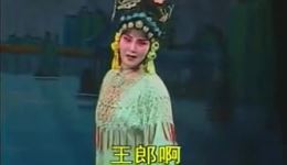 淮剧《半夜夫妻》全剧在线观看，裔小萍、梁锦忠等实力主演，经典家庭伦理戏曲，高清资源下载下载