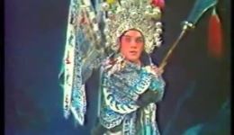 双阳公主追夫