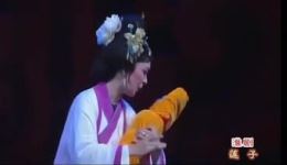 莲子