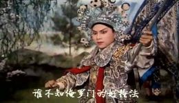 豫剧《花枪缘》马金凤主演全场戏mp4/mp3下载，经典马派名剧在线观看下载