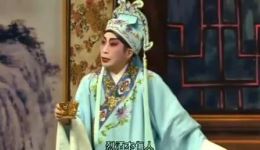 蝶影红梨记
