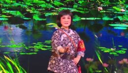 荆州花鼓戏《洪湖赤卫队》全集下载 - 经典革命题材戏曲资源
