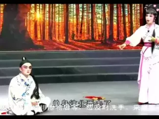 异国寻夫