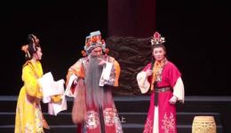 评剧《狸猫换太子》全场高清下载，王婧、张琪等名家演绎宫廷传奇下载