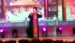 二夹弦经典《十八里相送》李娥演唱，濮阳县特色演绎，戏迷必听非遗戏曲