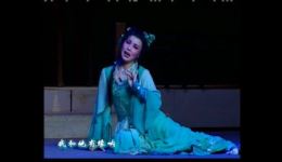 锡剧《青蛇》全场下载-陈云霞蔡瑜主演-江苏省舞台艺术优秀剧目下载
