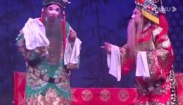 佘赛花
