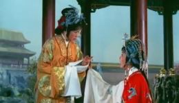 金枝玉叶