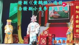 赣剧《黄鹤楼》选段视频mp4/mp3下载，鄱阳县赣剧团经典演绎，精彩不容错过下载