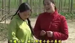 民间小调《姐夫娶小姨》全场戏曲视频mp4/mp3下载，经典民间故事，精彩剧情不容错过