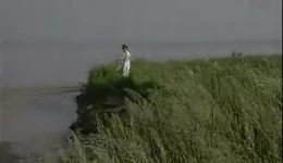 蒲剧《西湘记》全集下载 - 全场戏曲视频mp4/mp3资源,免费获取 蒲剧《西湘记》全集下载 - 全场戏曲视频mp4/mp3资源,免费获取