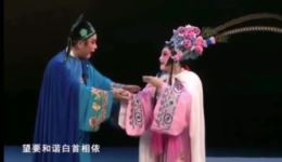 陈杏元