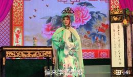 高甲戏《珍珠塔》精彩片段下载，郑添龙黄燕瑜主演，mp4/mp3戏曲资源免费获取下载
