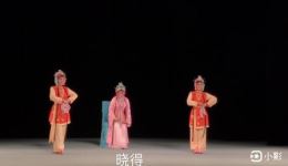 高甲戏《赏花》小戏视频mp4/mp3下载 泉州市高甲戏传承中心精彩演绎下载